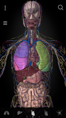 Anatomyka - скриншот 3