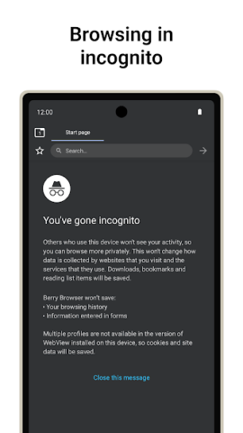 Berry Browser - скриншот 6