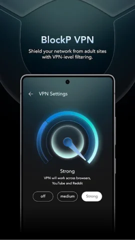 BlockP:порно блокировщик - скриншот 5