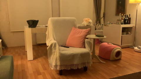 Paranormal Inc.: Case File 01 - скриншот 2