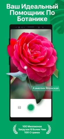 PictureThis - скриншот 1