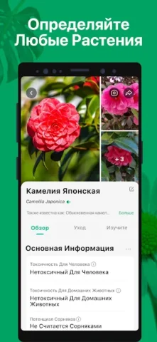 PictureThis - скриншот 2