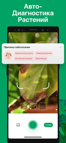 PictureThis - скриншот 4