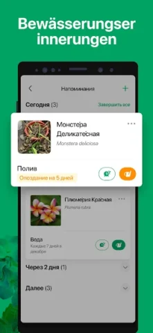 PictureThis - скриншот 5