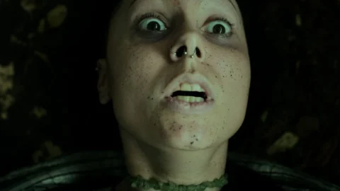 Heart of the Forest - скриншот 5