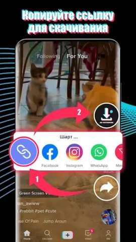 AhaTik Downloader Pro - скриншот 2