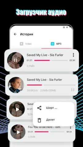 AhaTik Downloader Pro - скриншот 6