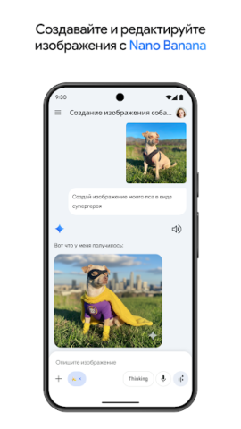 Google Gemini - скриншот 1