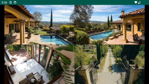 IP Camera Viewer - скриншот 2