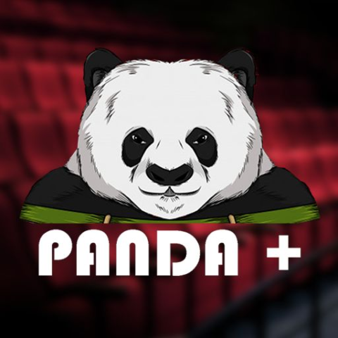 Panda Vision