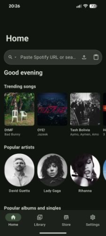 SpotiFLAC - скриншот 4