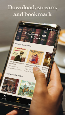 LibriVox Audio Books Supporter - скриншот 5