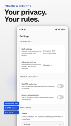 RIPDPI - скриншот 1