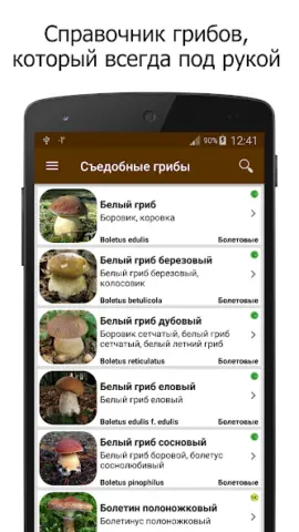 Грибы - скриншот 1