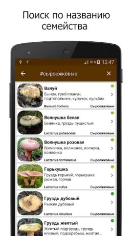 Грибы - скриншот 5